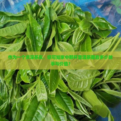 作为一个资深茶友，你可知家中那杯普洱茶藏着多少故事与价值？