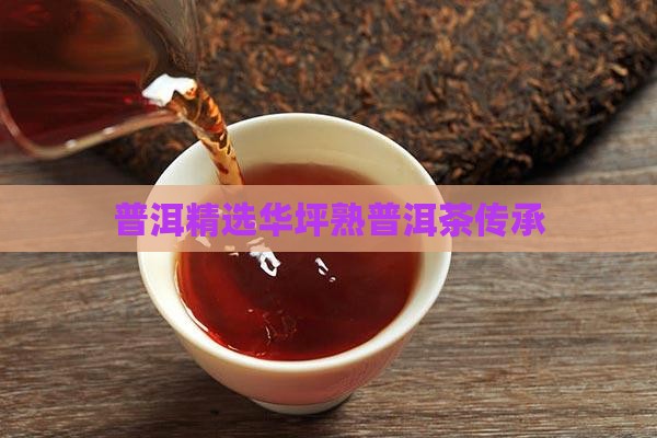 普洱精选华坪熟普洱茶传承