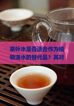 茶叶水是否适合作为植物浇水的替代品？其对不同树木的影响如何？