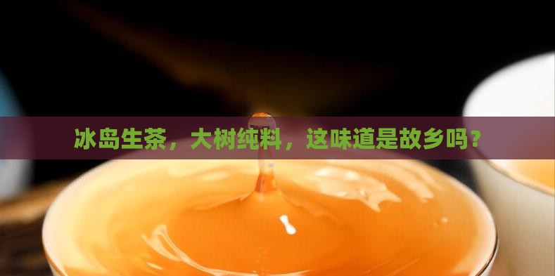 冰岛生茶，大树纯料，这味道是故乡吗？
