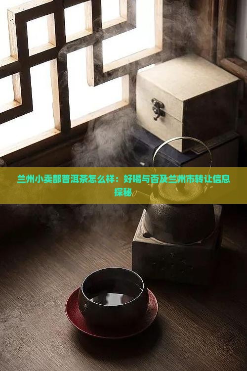 兰州小卖部普洱茶怎么样：好喝与否及兰州市转让信息探秘