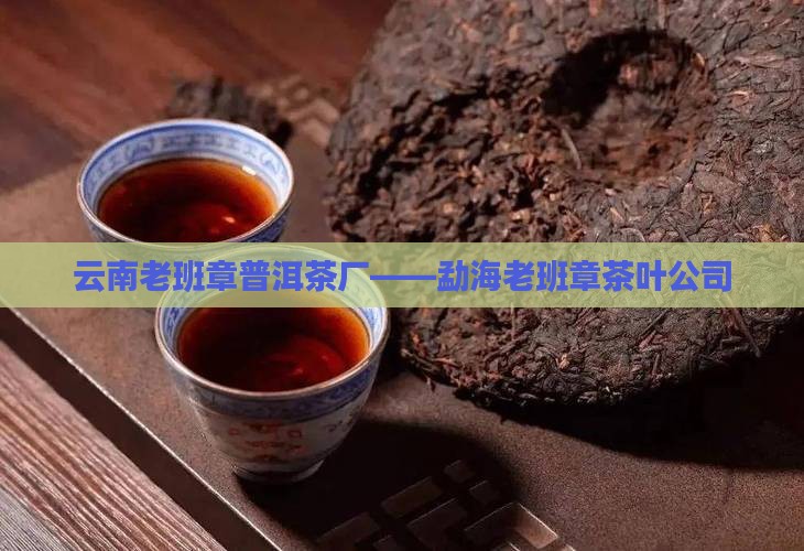 云南老班章普洱茶厂——勐海老班章茶叶公司