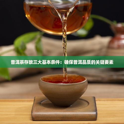 普洱茶存放三大基本条件：确保普洱品质的关键要素