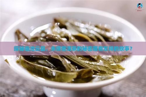 探秘临沧云县，永保普洱茶的秘密藏着怎样的故事？