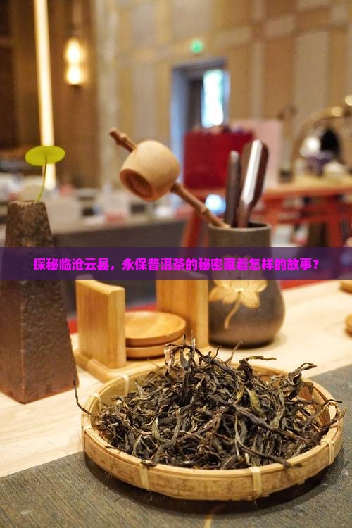 探秘临沧云县，永保普洱茶的秘密藏着怎样的故事？