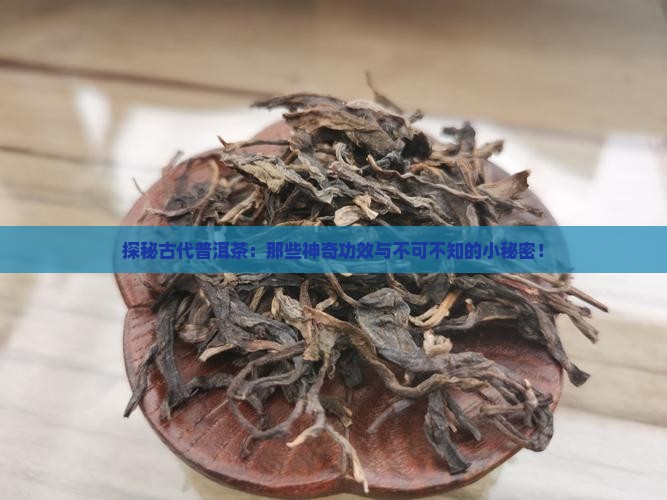 探秘古代普洱茶：那些神奇功效与不可不知的小秘密！