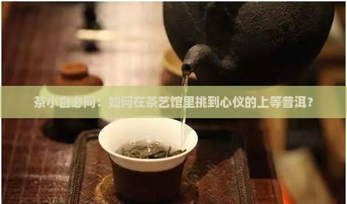 茶小白必问：如何在茶艺馆里挑到心仪的上等普洱？