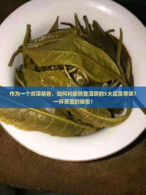 作为一个资深茶客，如何判断熟普洱茶的5大品质等级？一杯茶里的秘密！