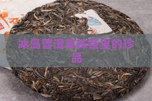 冰岛普洱单株茶里的珍品