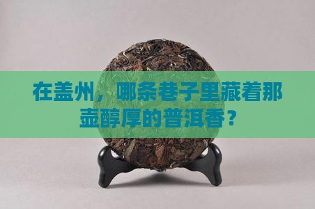 在盖州，哪条巷子里藏着那壶醇厚的普洱香？