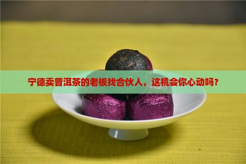 宁德卖普洱茶的老板找合伙人，这机会你心动吗？
