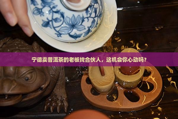 宁德卖普洱茶的老板找合伙人，这机会你心动吗？