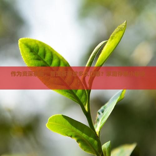 作为资深茶友，普洱茶存放多久口感？家庭存茶小秘诀！