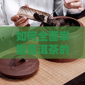 如何全面掌握普洱茶的品尝技巧与味道分析？