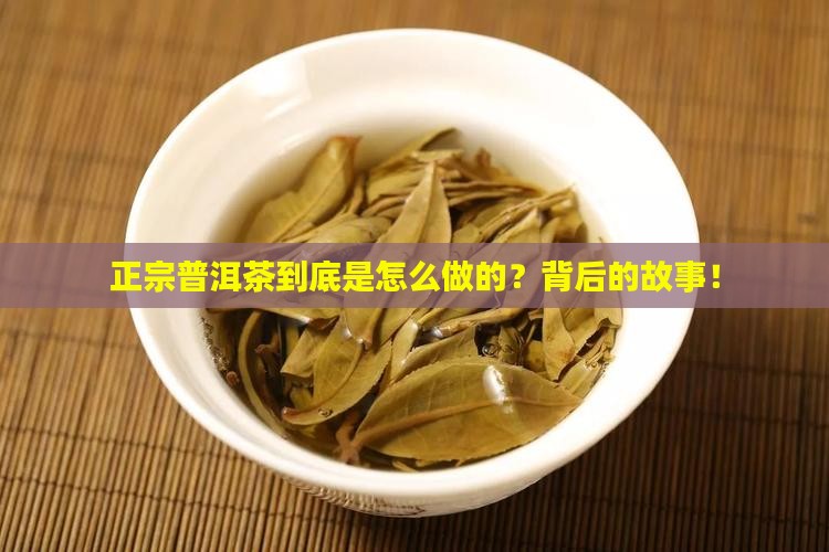 正宗普洱茶到底是怎么做的？背后的故事！