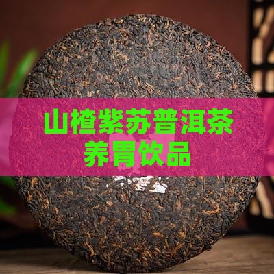 山楂紫苏普洱茶养胃饮品