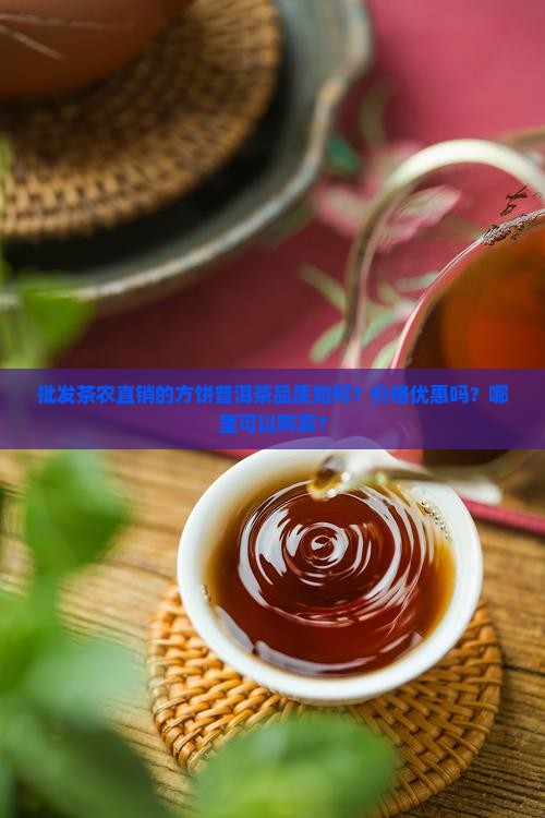 批发茶农直销的方饼普洱茶品质如何？价格优惠吗？哪里可以购买？