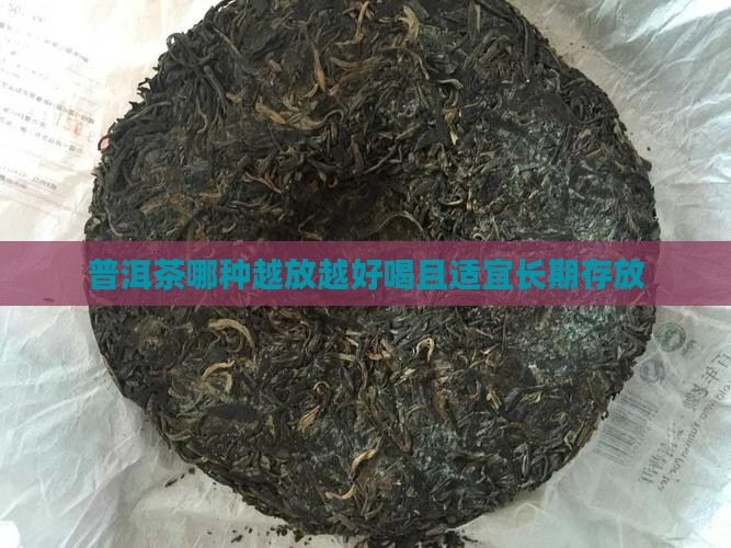 普洱茶哪种越放越好喝且适宜长期存放