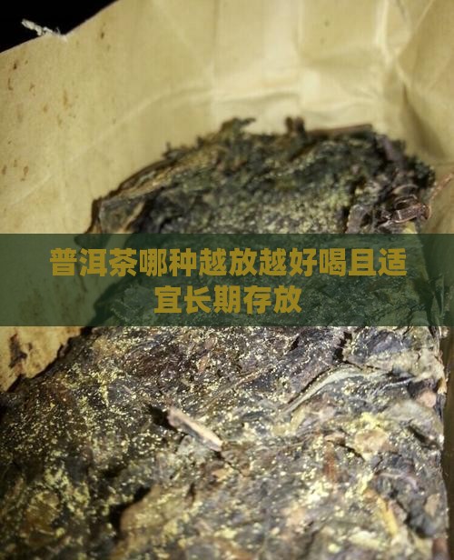 普洱茶哪种越放越好喝且适宜长期存放
