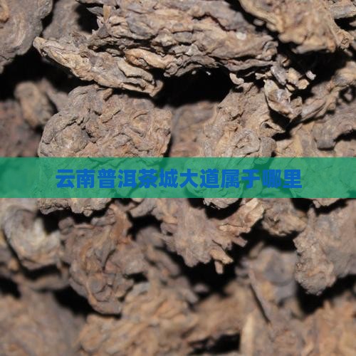 云南普洱茶城大道属于哪里