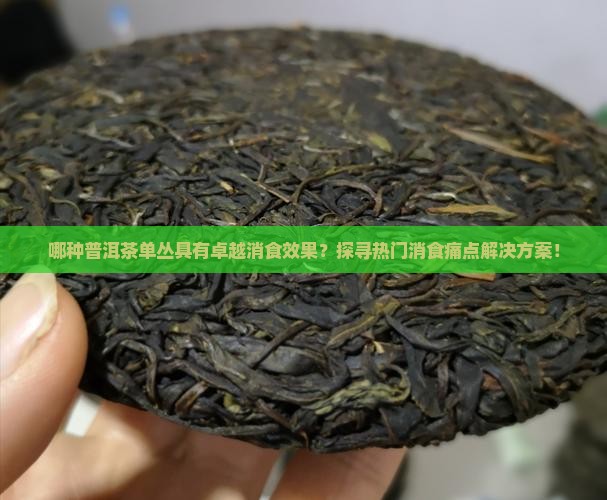 哪种普洱茶单丛具有卓越消食效果？探寻热门消食痛点解决方案！