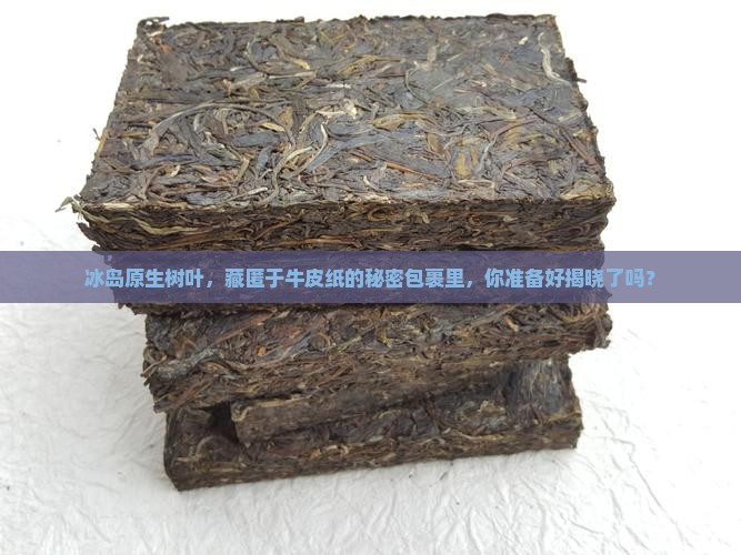冰岛原生树叶，藏匿于牛皮纸的秘密包裹里，你准备好揭晓了吗？