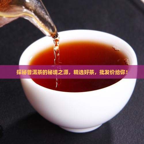 探秘普洱茶的秘境之源，精选好茶，批发价给你！