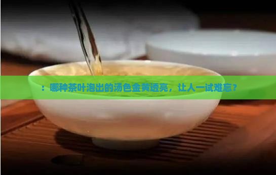 ：哪种茶叶泡出的汤色金黄透亮，让人一试难忘？