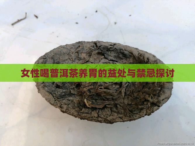 女性喝普洱茶养胃的益处与禁忌探讨