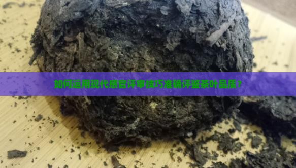 如何运用现代感官评审技巧准确评鉴茶叶品质？