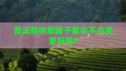 普洱茶饼放罐子里会不会变更好喝？