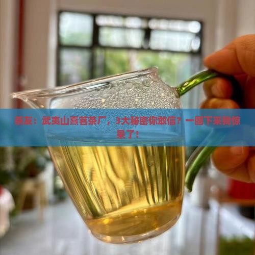 茶友：武夷山熹茗茶厂，3大秘密你敢信？一圈下来我惊呆了！