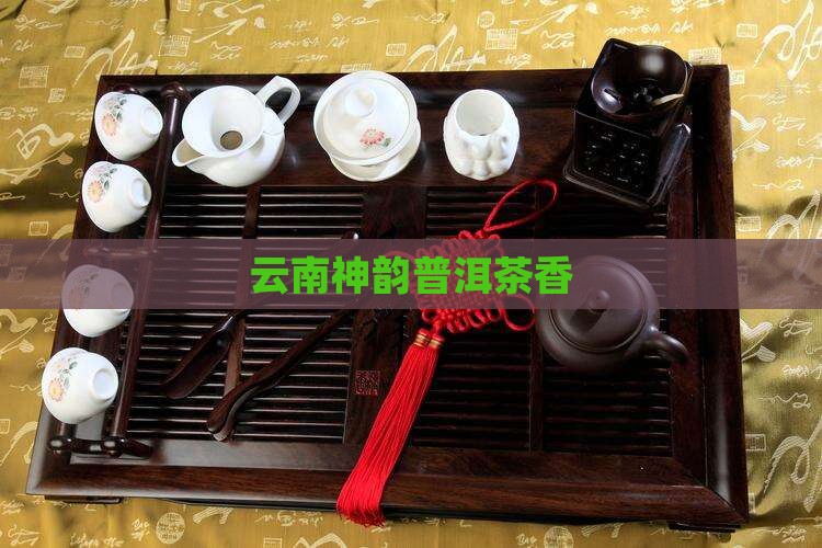 云南神韵普洱茶香
