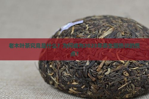 老木叶茶究竟是什么？为何成为2023年养生圈热议的焦点？