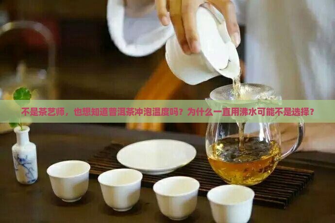 不是茶艺师，也想知道普洱茶冲泡温度吗？为什么一直用沸水可能不是选择？
