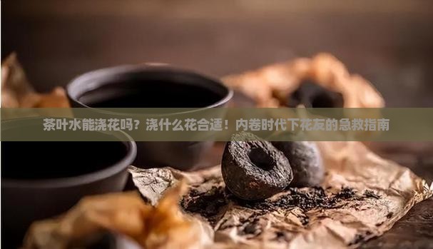 茶叶水能浇花吗？浇什么花合适！内卷时代下花友的急救指南