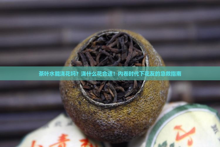 茶叶水能浇花吗？浇什么花合适！内卷时代下花友的急救指南