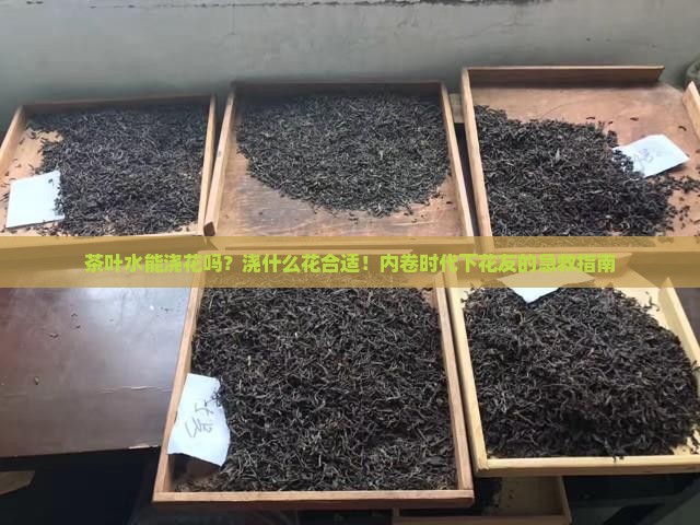 茶叶水能浇花吗？浇什么花合适！内卷时代下花友的急救指南