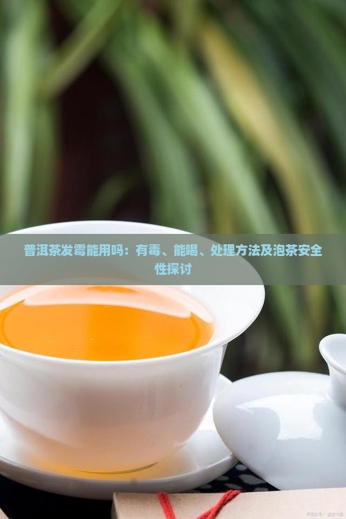 普洱茶发霉能用吗：有毒、能喝、处理方法及泡茶安全性探讨