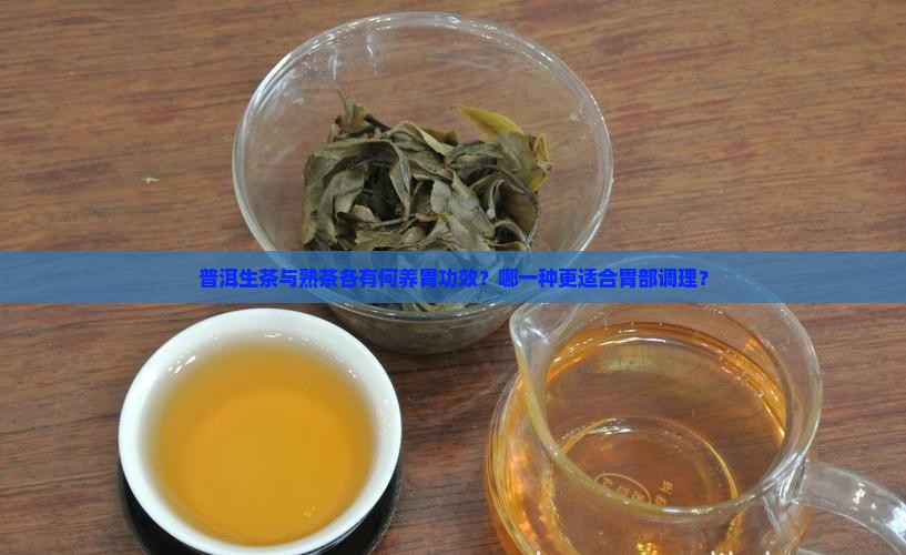 普洱生茶与熟茶各有何养胃功效？哪一种更适合胃部调理？