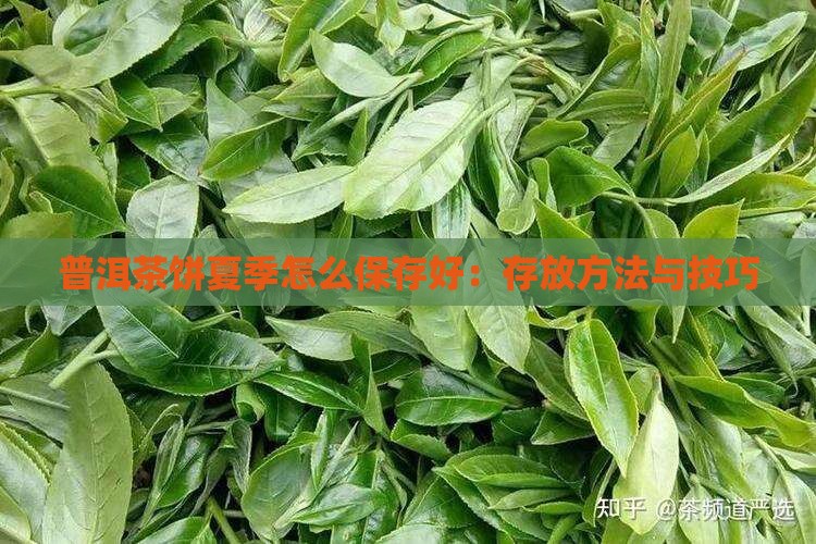 普洱茶饼夏季怎么保存好：存放方法与技巧