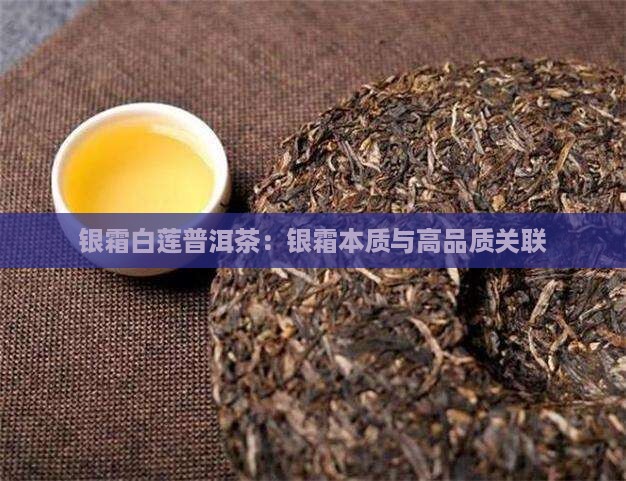银霜白莲普洱茶：银霜本质与高品质关联