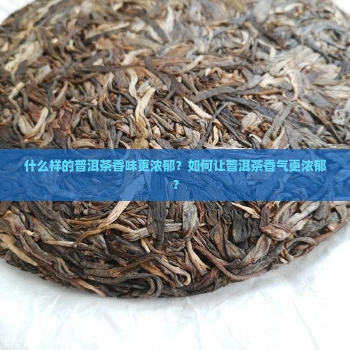 什么样的普洱茶香味更浓郁？如何让普洱茶香气更浓郁？