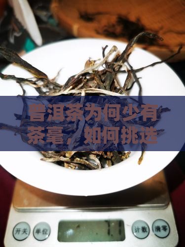 普洱茶为何少有茶毫，如何挑选高品质茶叶？