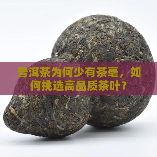 普洱茶为何少有茶毫，如何挑选高品质茶叶？