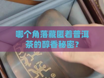 哪个角落藏匿着普洱茶的醇香秘密？