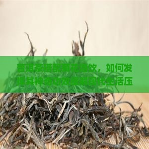 普洱茶搭配菊花泡饮，如何发挥其神奇功效缓解现代生活压力？