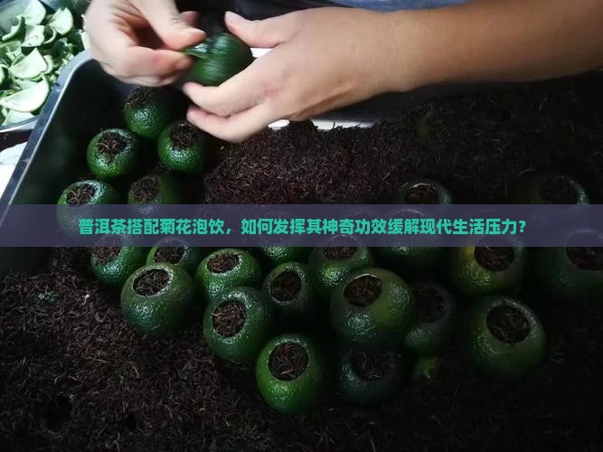 普洱茶搭配菊花泡饮，如何发挥其神奇功效缓解现代生活压力？
