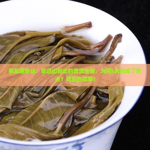 茶友圈热议：景迈山新出的普洱生普，为何5天内成了焦点？背后的故事！