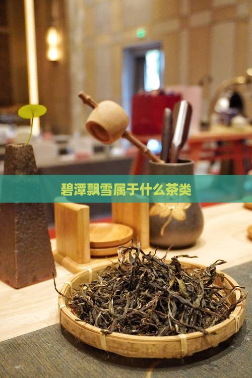 碧潭飘雪属于什么茶类